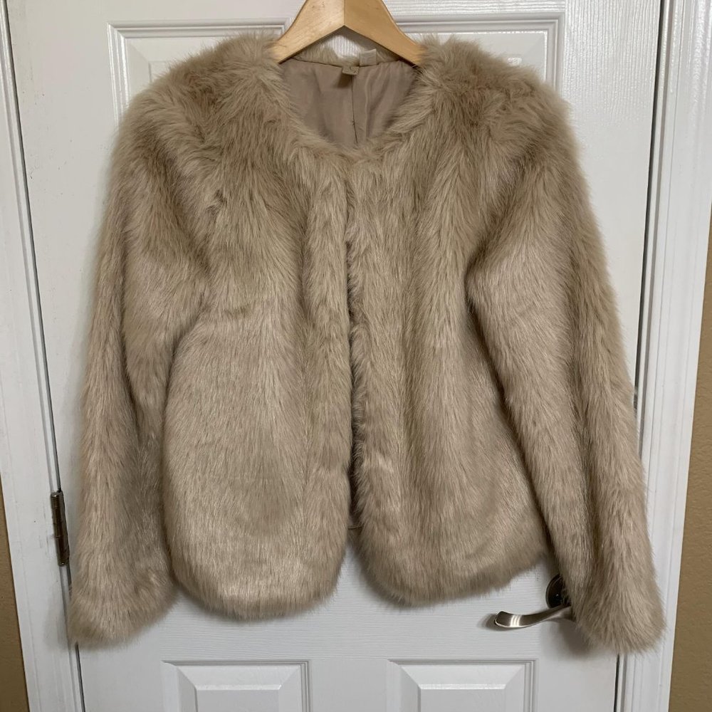 Forever21 Shaggy Faux Fur Coat